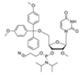 2'-OMe-U-CE-Phosphoramidite