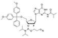 DMT-2'-F-dG(iBu)-CE-Phosphoramidite